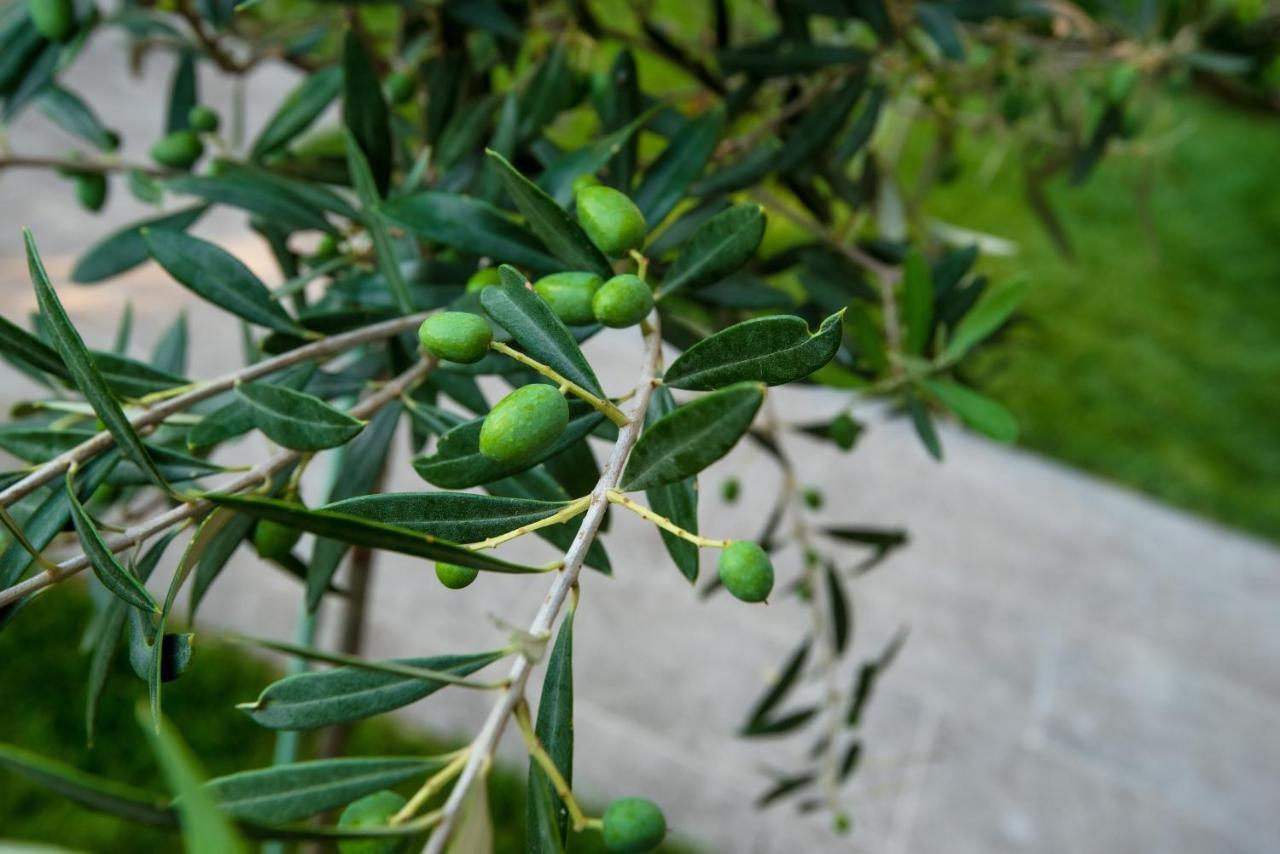 Olive 103 Lejlighed Peraía Eksteriør billede